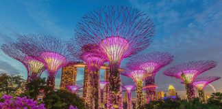 Bí kíp du lịch Singapore mới nhất 2023 cho những mới đến lần đầu