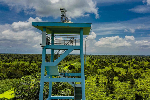 Ngắm nhìn rừng U Minh Hạ từ đài quan sát