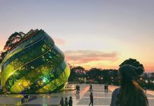 Du Lịch Đà Lạt Hè 2026 – Trốn Nắng Thành Phố, Tận Hưởng Không Khí Mát Lạnh Cao Nguyên du lich Da lat